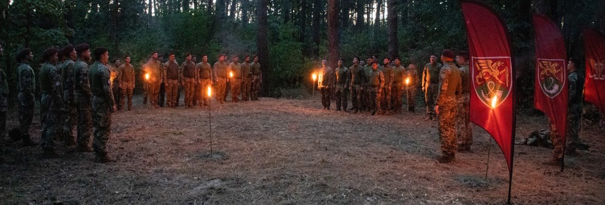71 окрема аеромобільна бригада