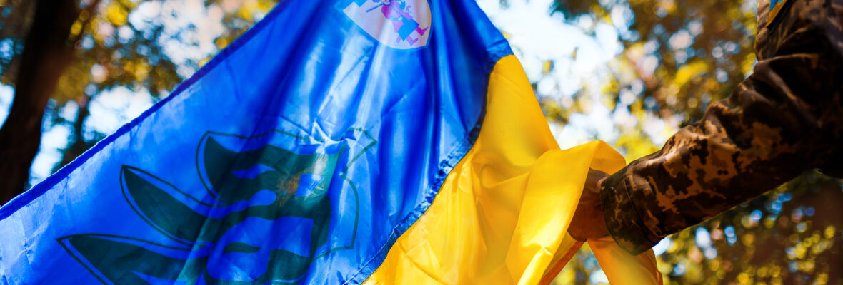 260 окрема бригада територіальної оборони «Хортиця»