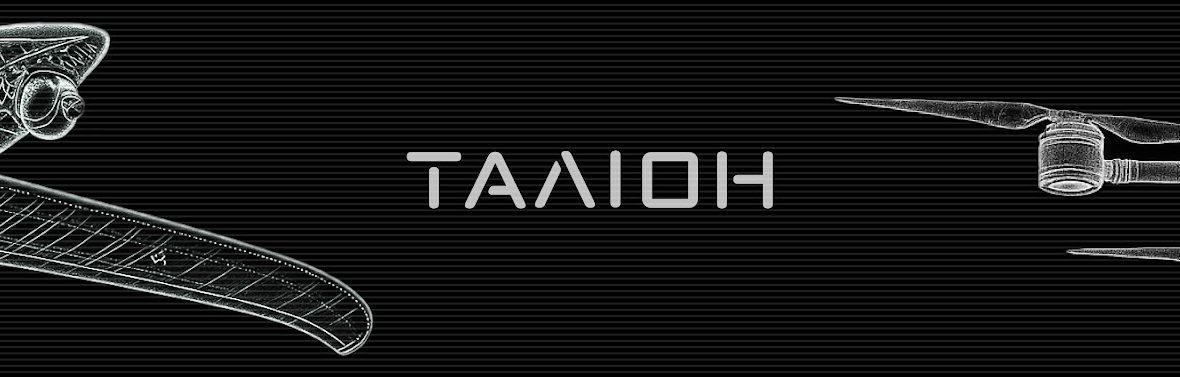 Батальйон безпілотних систем «Таліон» 101 ОБрО ГШ